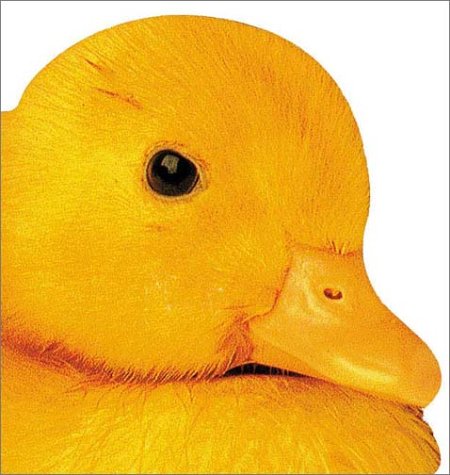 cover image Farm Animals