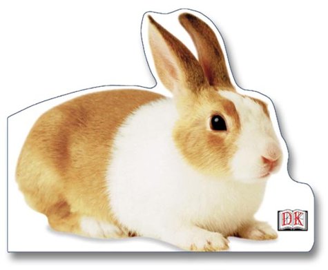 cover image Bunny