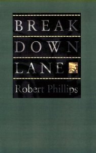 cover image Breakdown Lane