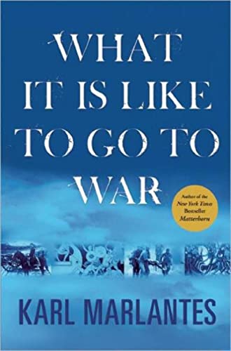 cover image What It Is Like to Go to War