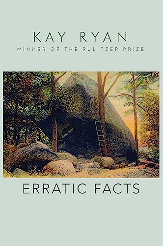 cover image Erratic Facts