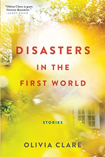 cover image Disasters in the First World
