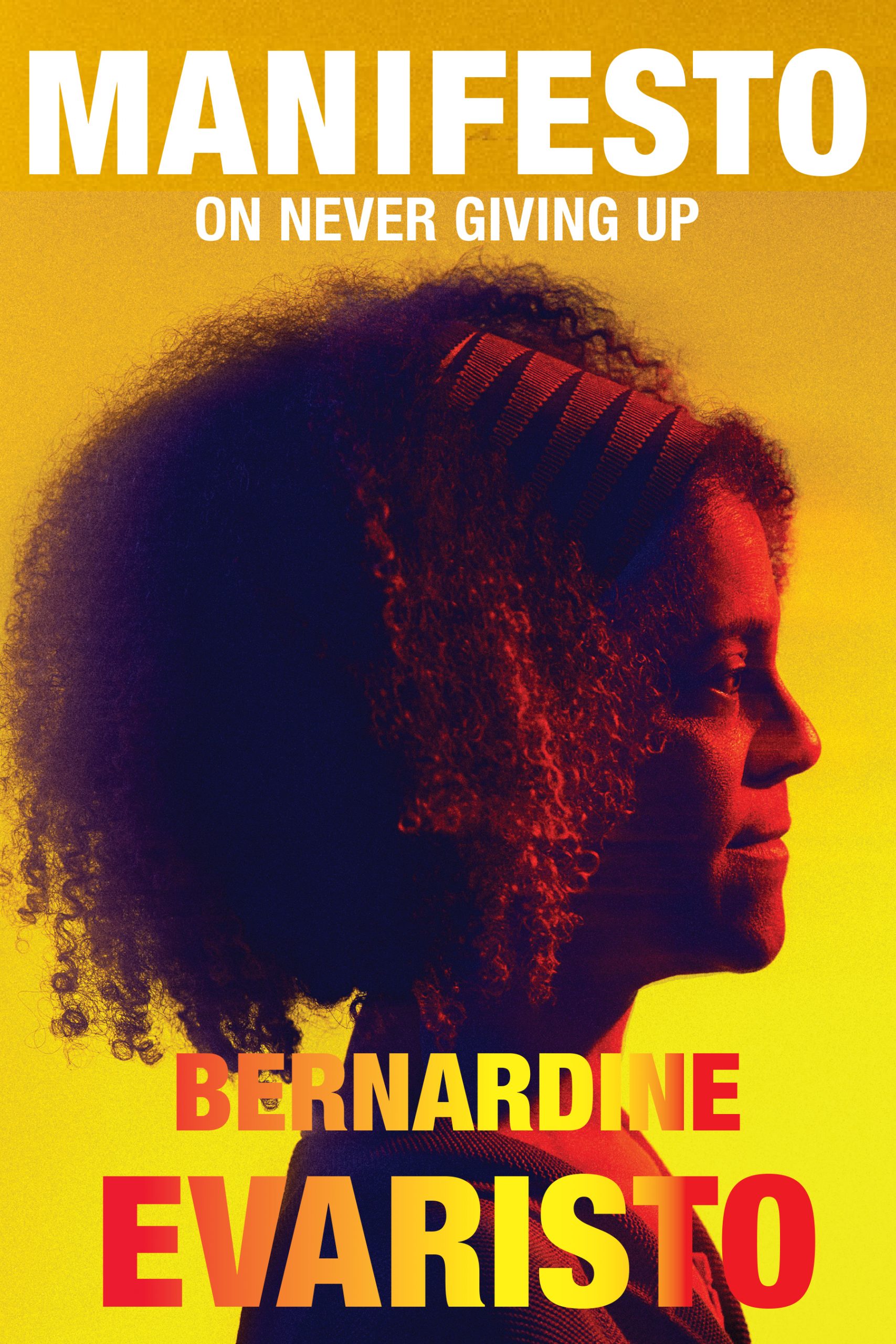cover image Manifesto: On Never Giving Up