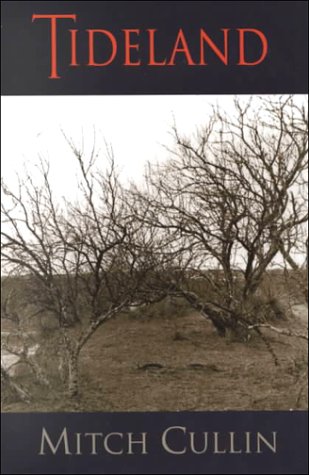 cover image Tideland