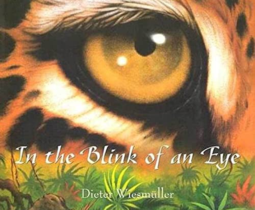 cover image IN THE BLINK OF AN EYE