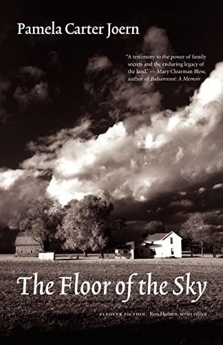cover image The Floor of the Sky