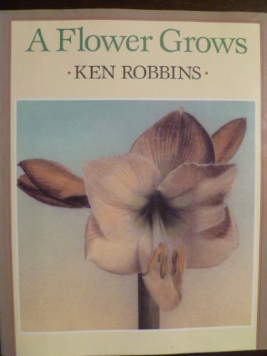cover image A Flower Grows