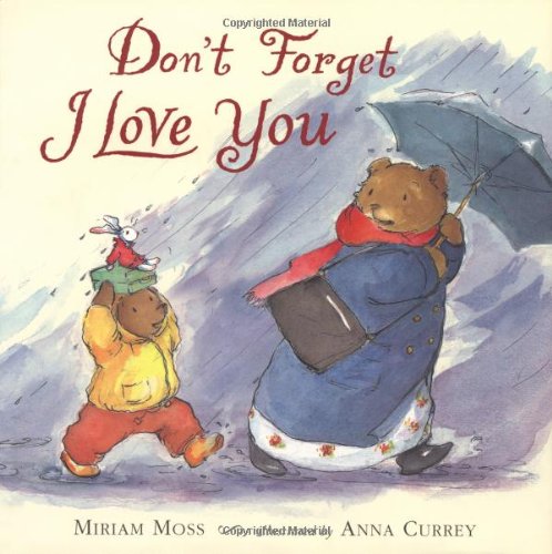 cover image DON'T FORGET I LOVE YOU