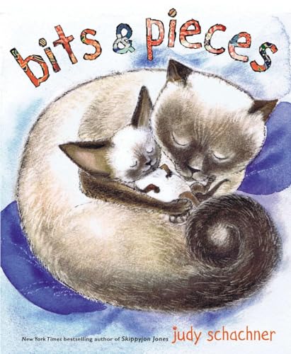 cover image Bits & Pieces