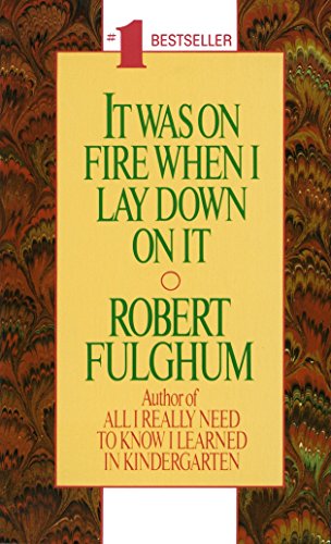 cover image It Was on Fire When I Lay Down on It