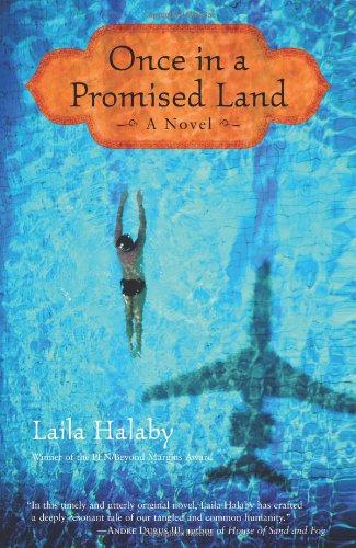 cover image Once in a Promised Land