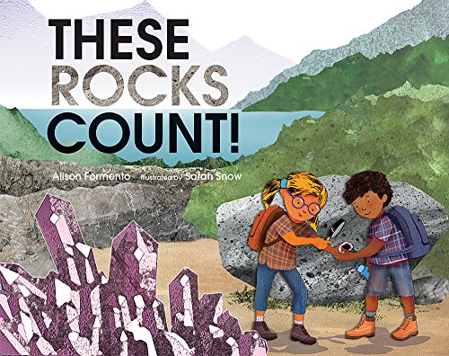 cover image These Rocks Count!
