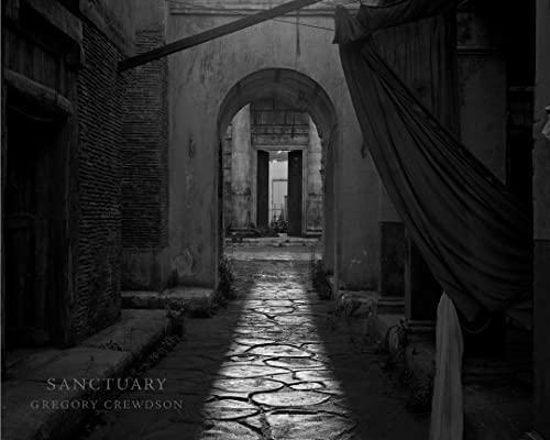 cover image Sanctuary
