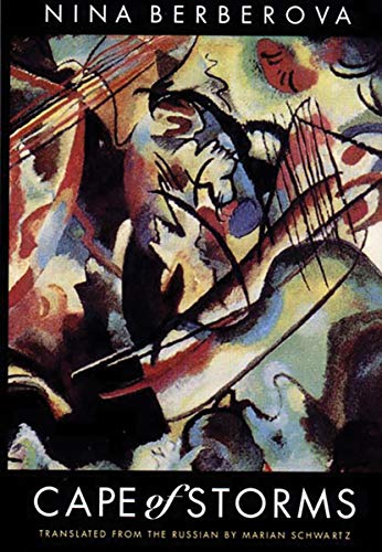 cover image Cape of Storms