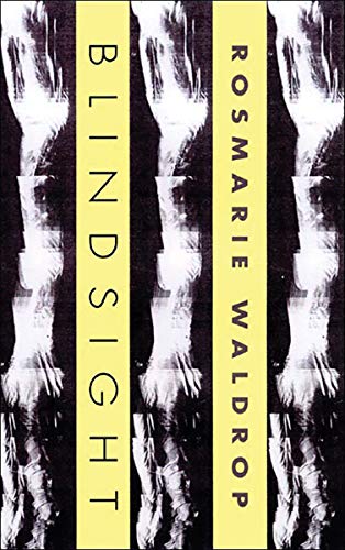 cover image BLINDSIGHT