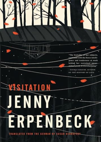 cover image Visitation 