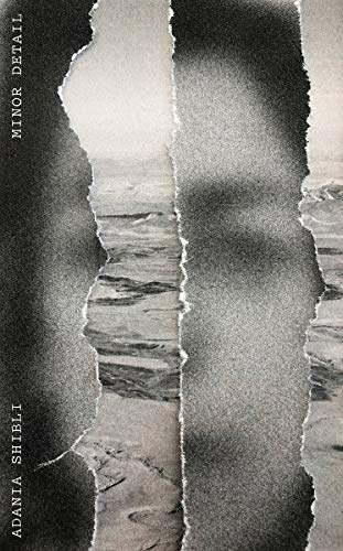 cover image Minor Detail