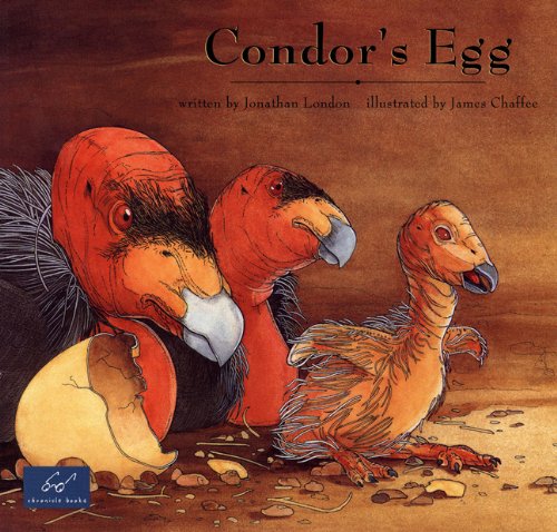 cover image Condor's Egg