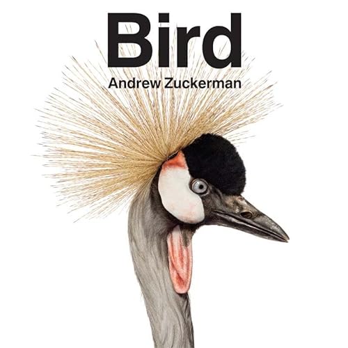 cover image Bird