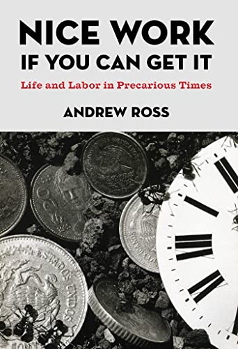 cover image Nice Work If You Can Get It: Life and Labor in Precarious Times