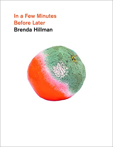 cover image In a Few Minutes Before Later