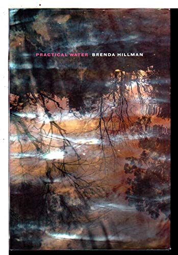 cover image Practical Water