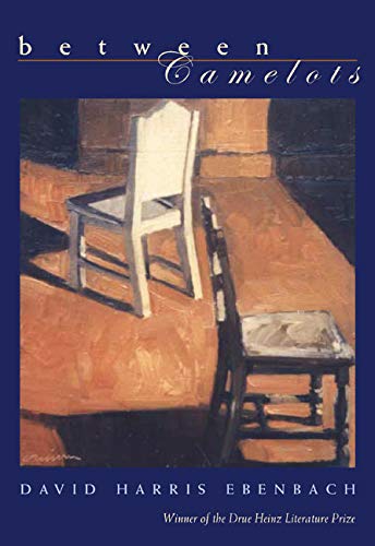 cover image Between Camelots
