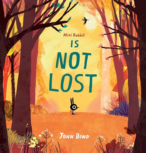 cover image Mini Rabbit Is Not Lost