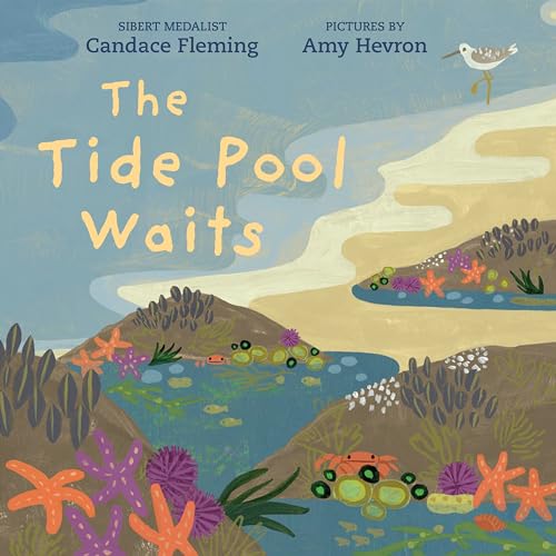 cover image The Tide Pool Waits