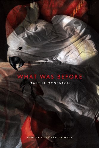 cover image What Was Before 