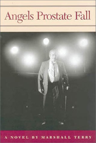 cover image Angels Prostate Fall
