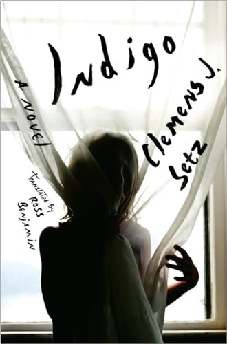 cover image Indigo