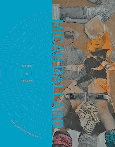 cover image Waifs and Strays