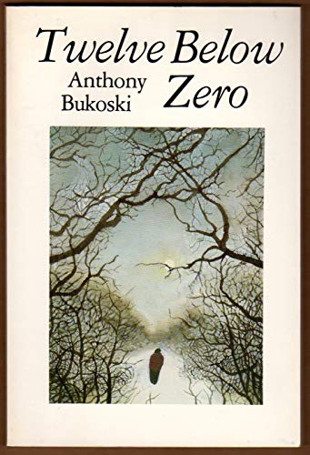 cover image Twelve Below Zero