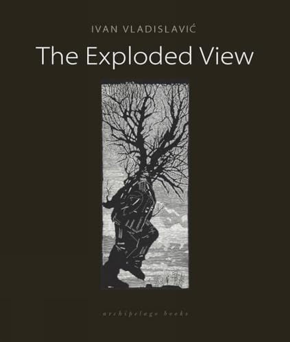 cover image The Exploded View