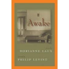 cover image Awake