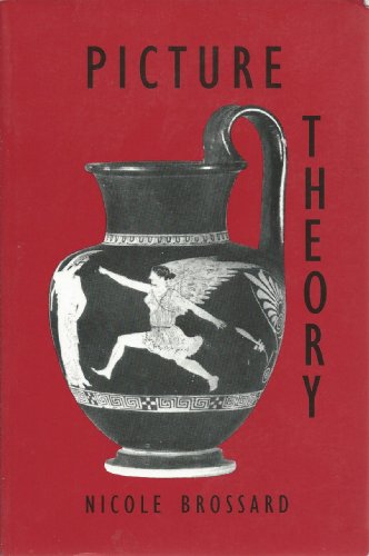 cover image Picture Theory