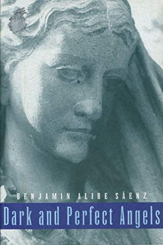 cover image Dark and Perfect Angels
