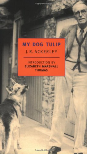 cover image My Dog Tulip