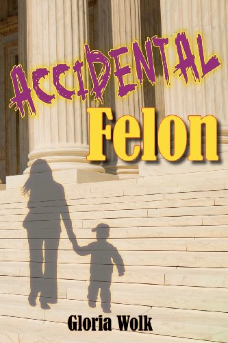 cover image Accidental Felon