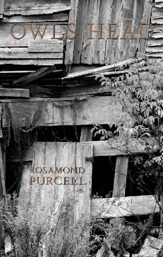 cover image OWLS HEAD