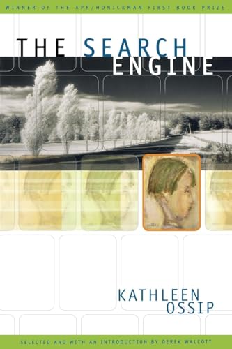 cover image The Search Engine