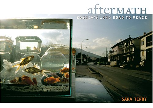 cover image Aftermath: Bosnia's Long Road to Peace