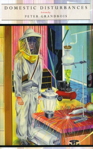 cover image Domestic Disturbances 