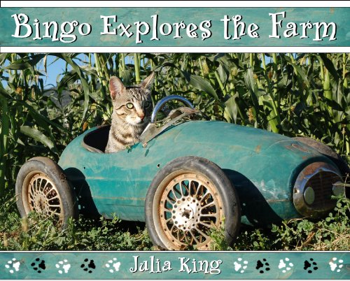 cover image Bingo Explores the Farm