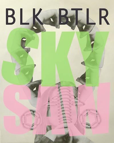 cover image Sky Saw