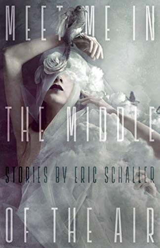cover image Meet Me in the Middle of the Air: Dark Miracles and Black Comedies 