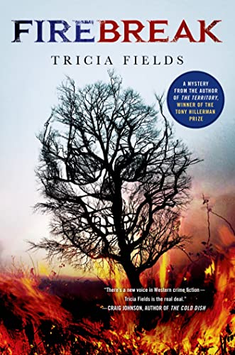 cover image Firebreak
