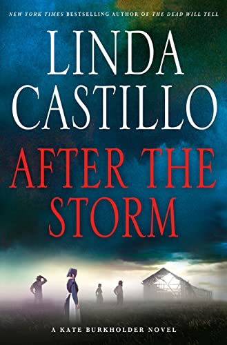 cover image After the Storm