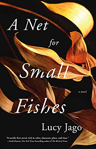 cover image A Net for Small Fishes
